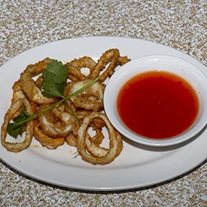 Fried Calamari